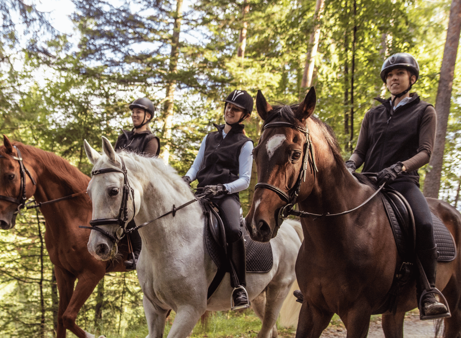 Trekking a cavallo Bracciano
