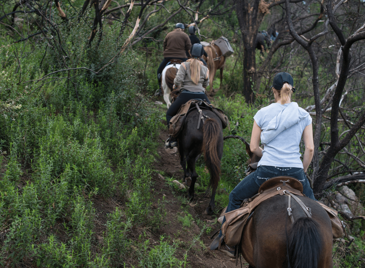 Trekking a cavallo Bracciano